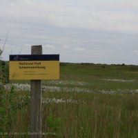 Schiermonnikoog 2007_10