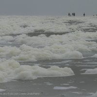 Schiermonnikoog 2007_159