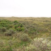 Schiermonnikoog 2007_37