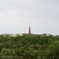 Schiermonnikoog 2007_7