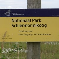 Schiermonnikoog 2007_9