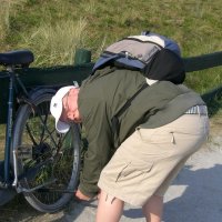 Schiermonnikoog 2008_10