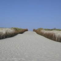 Schiermonnikoog 2008_12