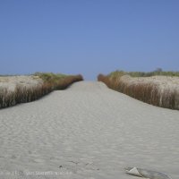 Schiermonnikoog 2008_13
