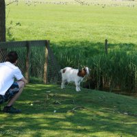 Schiermonnikoog 2008_150