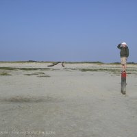 Schiermonnikoog 2008_15