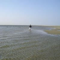 Schiermonnikoog 2008_19