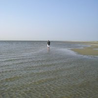 Schiermonnikoog 2008_20