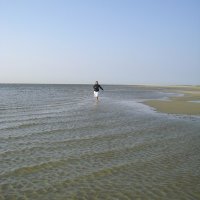 Schiermonnikoog 2008_21