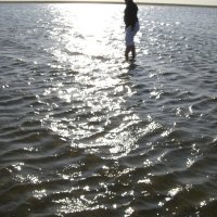 Schiermonnikoog 2008_27