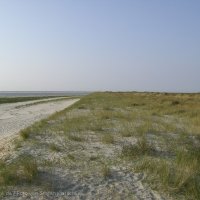 Schiermonnikoog 2008_29