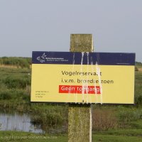 Schiermonnikoog 2008_32