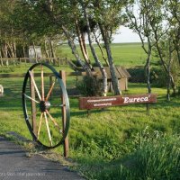 Schiermonnikoog 2008_333