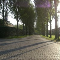 Schiermonnikoog 2008_33