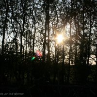 Schiermonnikoog 2008_350