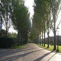 Schiermonnikoog 2008_35