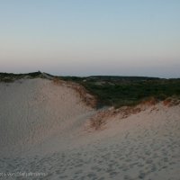 Schiermonnikoog 2008_364