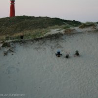 Schiermonnikoog 2008_377