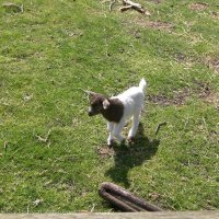 Schiermonnikoog 2008_44