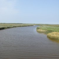 Schiermonnikoog 2008_48