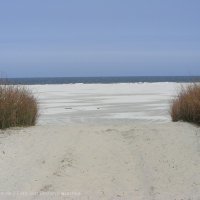 Schiermonnikoog 2008_53