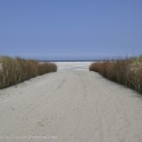 Schiermonnikoog 2008_54