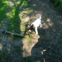 Schiermonnikoog 2008_54