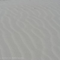 Schiermonnikoog 2008_56