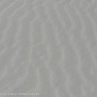 Schiermonnikoog 2008_57