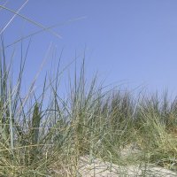 Schiermonnikoog 2008_58