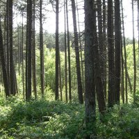 Schiermonnikoog 2008_61