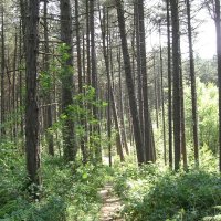 Schiermonnikoog 2008_62