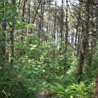 Schiermonnikoog 2008_63