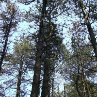 Schiermonnikoog 2008_64