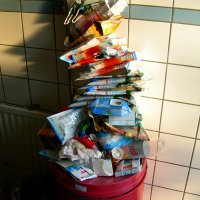 Schiermonnikoog 2008_65