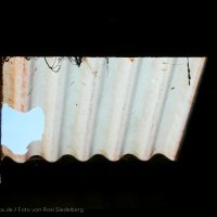 Schiermonnikoog 2008_69