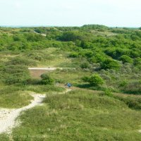 Schiermonnikoog 2008_86