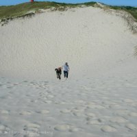 Schiermonnikoog 2008_87