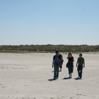 Schiermonnikoog 2008_88