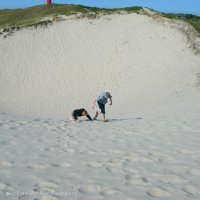 Schiermonnikoog 2008_88
