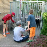 Schiermonnikoog 2008_95