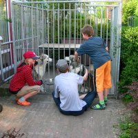 Schiermonnikoog 2008_96