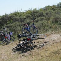 Schiermonnikoog 2008_97