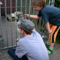 Schiermonnikoog 2008_97