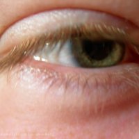 Schiermonnikoog 2008_99