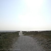 Schiermonnikoog 2008_9