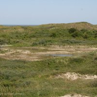 Schiermonnikoog 2009_134