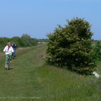 Schiermonnikoog 2009_164