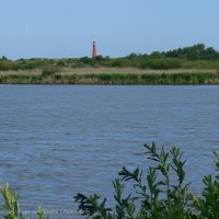 Schiermonnikoog 2009_165