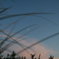 Schiermonnikoog 2009_167